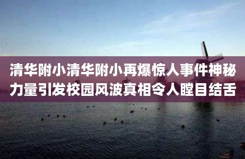 清华附小清华附小再爆惊人事件神秘力量引发校园风波真相令人瞠目结舌