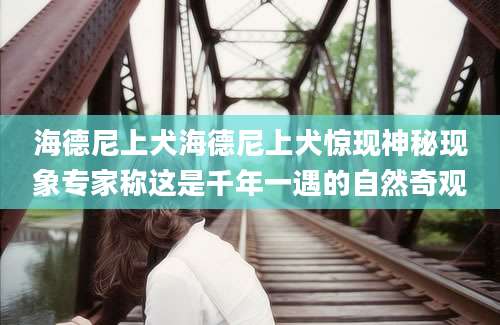 海德尼上犬海德尼上犬惊现神秘现象专家称这是千年一遇的自然奇观