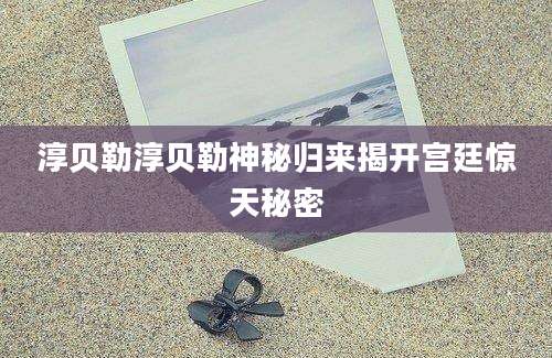 淳贝勒淳贝勒神秘归来揭开宫廷惊天秘密