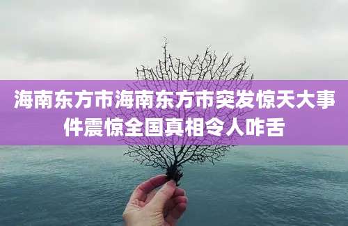 海南东方市海南东方市突发惊天大事件震惊全国真相令人咋舌