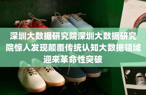 深圳大数据研究院深圳大数据研究院惊人发现颠覆传统认知大数据领域迎来革命性突破