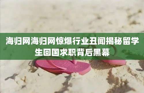 海归网海归网惊爆行业丑闻揭秘留学生回国求职背后黑幕