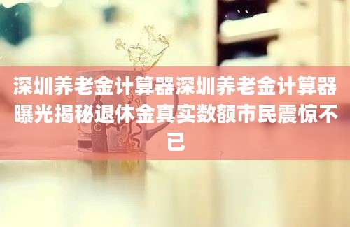 深圳养老金计算器深圳养老金计算器曝光揭秘退休金真实数额市民震惊不已