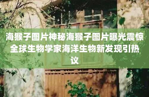 海猴子图片神秘海猴子图片曝光震惊全球生物学家海洋生物新发现引热议