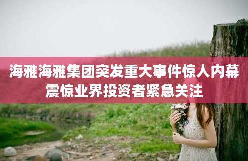 海雅海雅集团突发重大事件惊人内幕震惊业界投资者紧急关注
