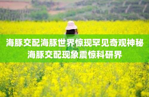 海豚交配海豚世界惊现罕见奇观神秘海豚交配现象震惊科研界