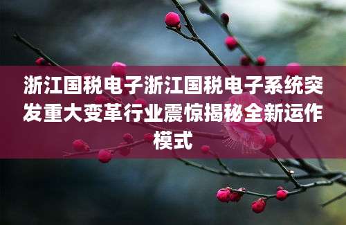 浙江国税电子浙江国税电子系统突发重大变革行业震惊揭秘全新运作模式