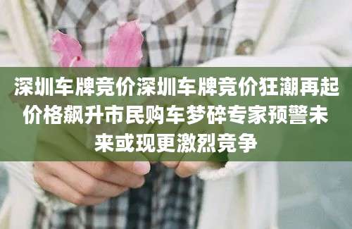 深圳车牌竞价深圳车牌竞价狂潮再起价格飙升市民购车梦碎专家预警未来或现更激烈竞争
