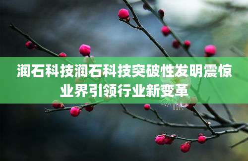 润石科技润石科技突破性发明震惊业界引领行业新变革