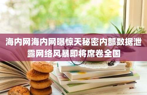 海内网海内网曝惊天秘密内部数据泄露网络风暴即将席卷全国
