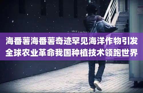 海番薯海番薯奇迹罕见海洋作物引发全球农业革命我国种植技术领跑世界