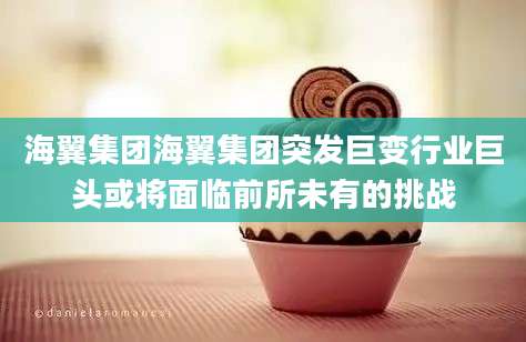 海翼集团海翼集团突发巨变行业巨头或将面临前所未有的挑战