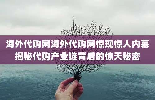 海外代购网海外代购网惊现惊人内幕揭秘代购产业链背后的惊天秘密