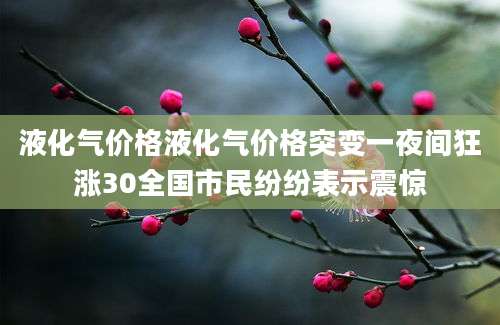 液化气价格液化气价格突变一夜间狂涨30全国市民纷纷表示震惊