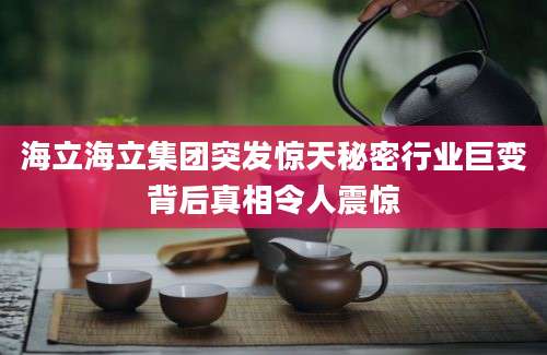 海立海立集团突发惊天秘密行业巨变背后真相令人震惊