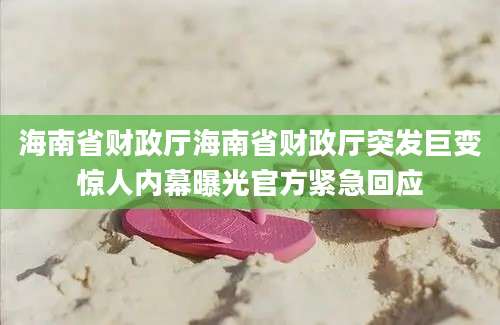 海南省财政厅海南省财政厅突发巨变惊人内幕曝光官方紧急回应