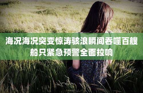 海况海况突变惊涛骇浪瞬间吞噬百艘船只紧急预警全面拉响