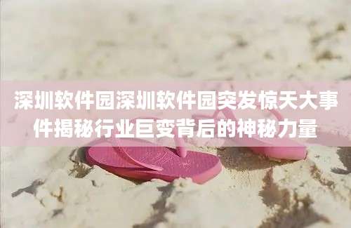 深圳软件园深圳软件园突发惊天大事件揭秘行业巨变背后的神秘力量