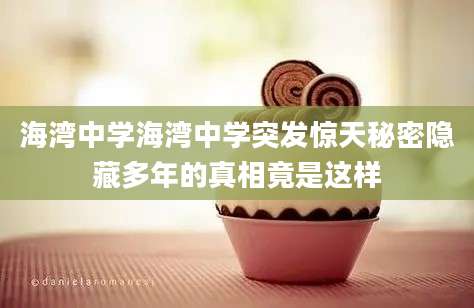 海湾中学海湾中学突发惊天秘密隐藏多年的真相竟是这样