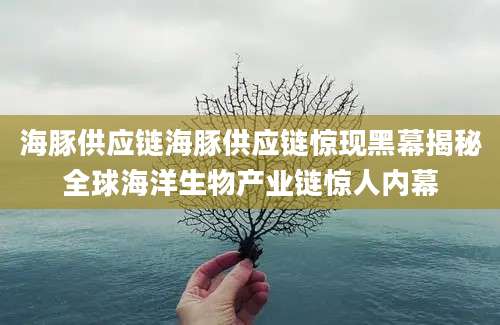 海豚供应链海豚供应链惊现黑幕揭秘全球海洋生物产业链惊人内幕
