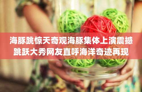 海豚跳惊天奇观海豚集体上演震撼跳跃大秀网友直呼海洋奇迹再现