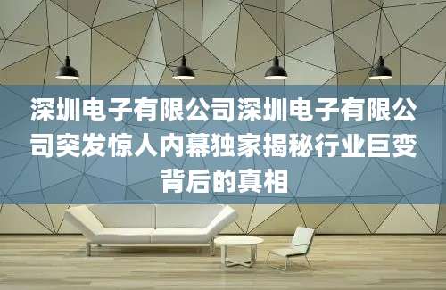 深圳电子有限公司深圳电子有限公司突发惊人内幕独家揭秘行业巨变背后的真相