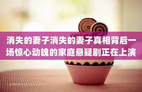 消失的妻子消失的妻子真相背后一场惊心动魄的家庭悬疑剧正在上演