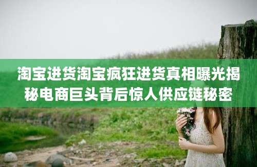 淘宝进货淘宝疯狂进货真相曝光揭秘电商巨头背后惊人供应链秘密