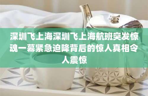 深圳飞上海深圳飞上海航班突发惊魂一幕紧急迫降背后的惊人真相令人震惊