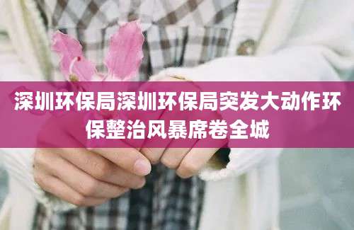 深圳环保局深圳环保局突发大动作环保整治风暴席卷全城