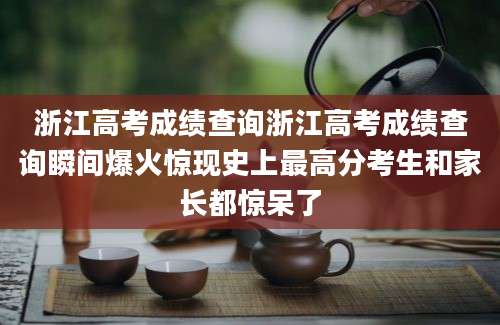 浙江高考成绩查询浙江高考成绩查询瞬间爆火惊现史上最高分考生和家长都惊呆了
