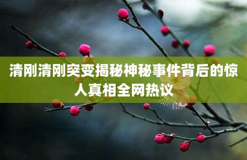 清刚清刚突变揭秘神秘事件背后的惊人真相全网热议