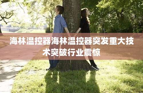 海林温控器海林温控器突发重大技术突破行业震惊