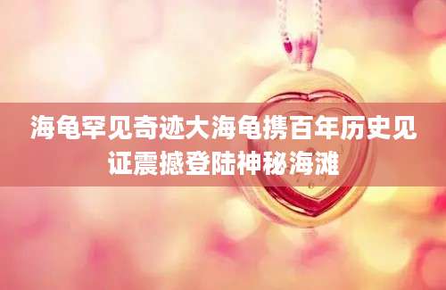 海龟罕见奇迹大海龟携百年历史见证震撼登陆神秘海滩