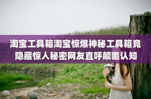淘宝工具箱淘宝惊爆神秘工具箱竟隐藏惊人秘密网友直呼颠覆认知