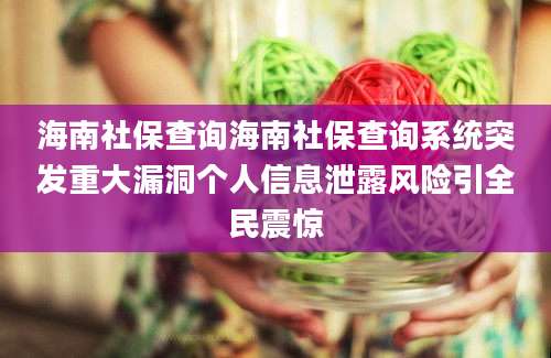 海南社保查询海南社保查询系统突发重大漏洞个人信息泄露风险引全民震惊