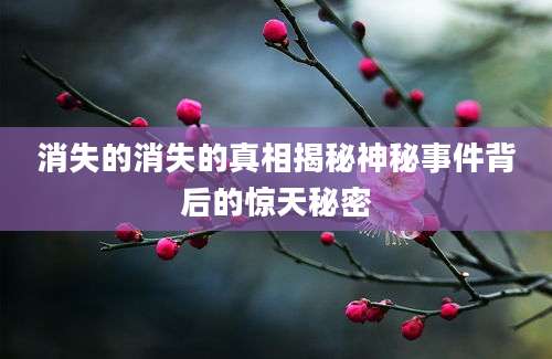 消失的消失的真相揭秘神秘事件背后的惊天秘密