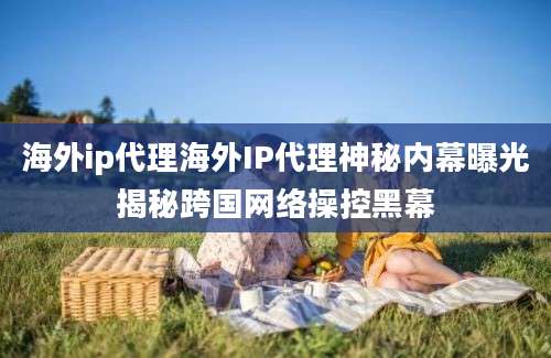 海外ip代理海外IP代理神秘内幕曝光揭秘跨国网络操控黑幕