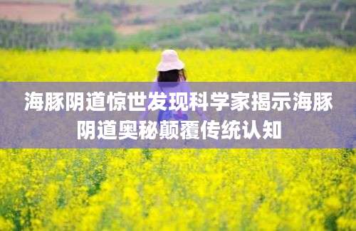 海豚阴道惊世发现科学家揭示海豚阴道奥秘颠覆传统认知