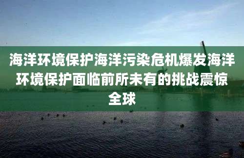 海洋环境保护海洋污染危机爆发海洋环境保护面临前所未有的挑战震惊全球