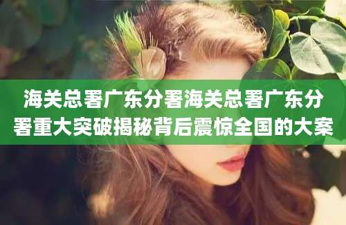 海关总署广东分署海关总署广东分署重大突破揭秘背后震惊全国的大案