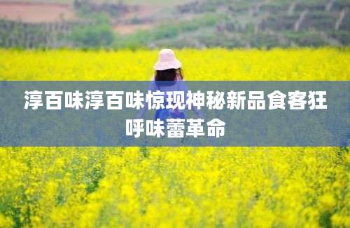 淳百味淳百味惊现神秘新品食客狂呼味蕾革命