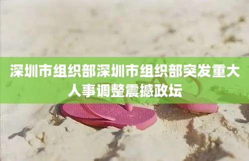 深圳市组织部深圳市组织部突发重大人事调整震撼政坛
