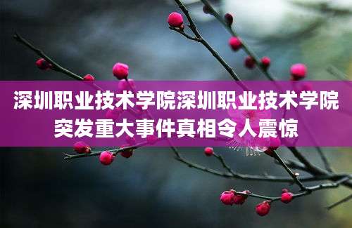 深圳职业技术学院深圳职业技术学院突发重大事件真相令人震惊