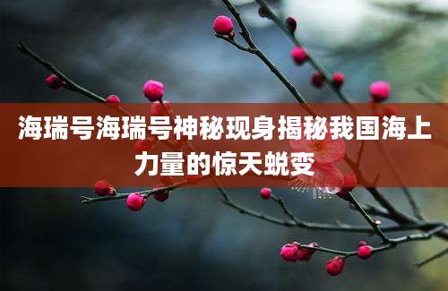 海瑞号海瑞号神秘现身揭秘我国海上力量的惊天蜕变