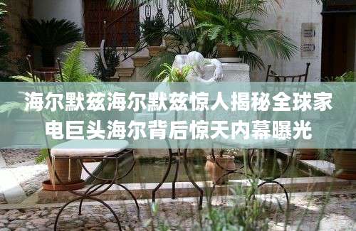海尔默兹海尔默兹惊人揭秘全球家电巨头海尔背后惊天内幕曝光