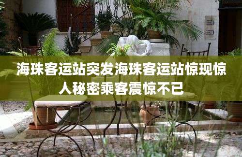 海珠客运站突发海珠客运站惊现惊人秘密乘客震惊不已