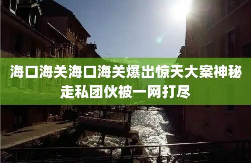 海口海关海口海关爆出惊天大案神秘走私团伙被一网打尽