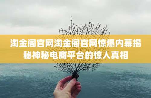 淘金阁官网淘金阁官网惊爆内幕揭秘神秘电商平台的惊人真相