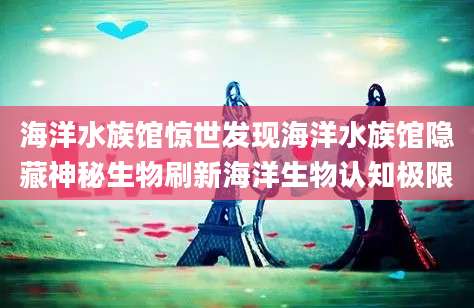 海洋水族馆惊世发现海洋水族馆隐藏神秘生物刷新海洋生物认知极限